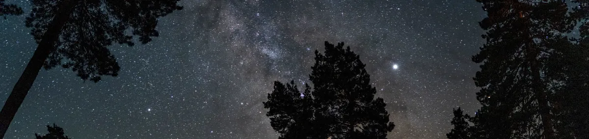 Explore Abastumani, a resort between stars and pines 2