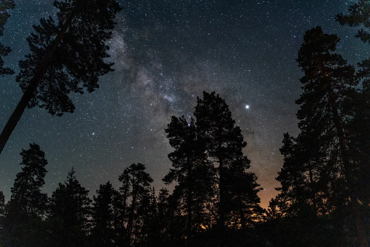 Explore Abastumani, a resort between stars and pines