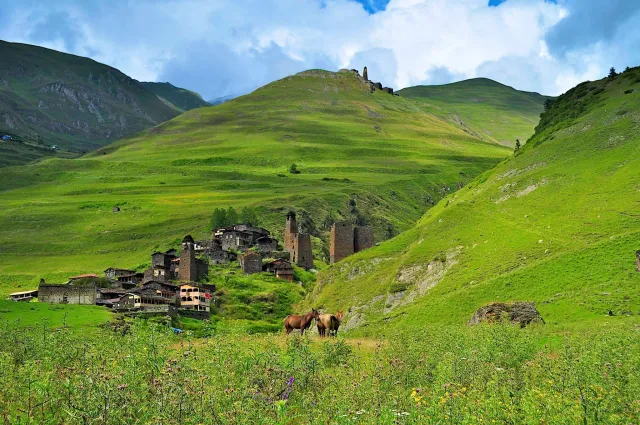 wildlife adventure to Tusheti and Khevsureti