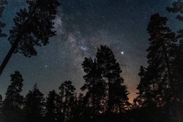 Explore Abastumani, a resort between stars and pines
